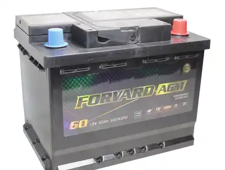 FORVARD AGM 6СТ-60 А/ч п.п. [д242ш175в190/660А]